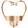 implant5